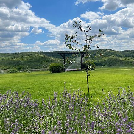 Colina Verde Resort Кишинёв Экстерьер фото