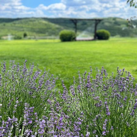 Colina Verde Resort Кишинёв Экстерьер фото