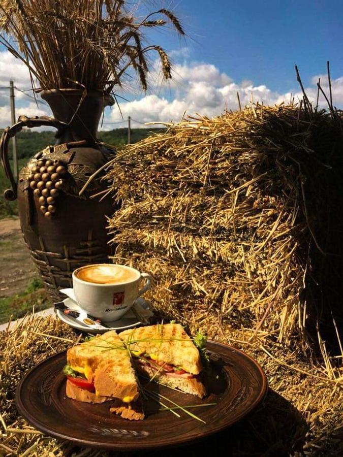 Colina Verde Resort Кишинёв Экстерьер фото
